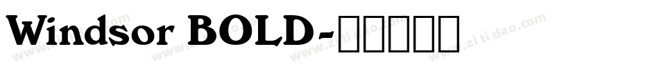 Windsor BOLD字体转换